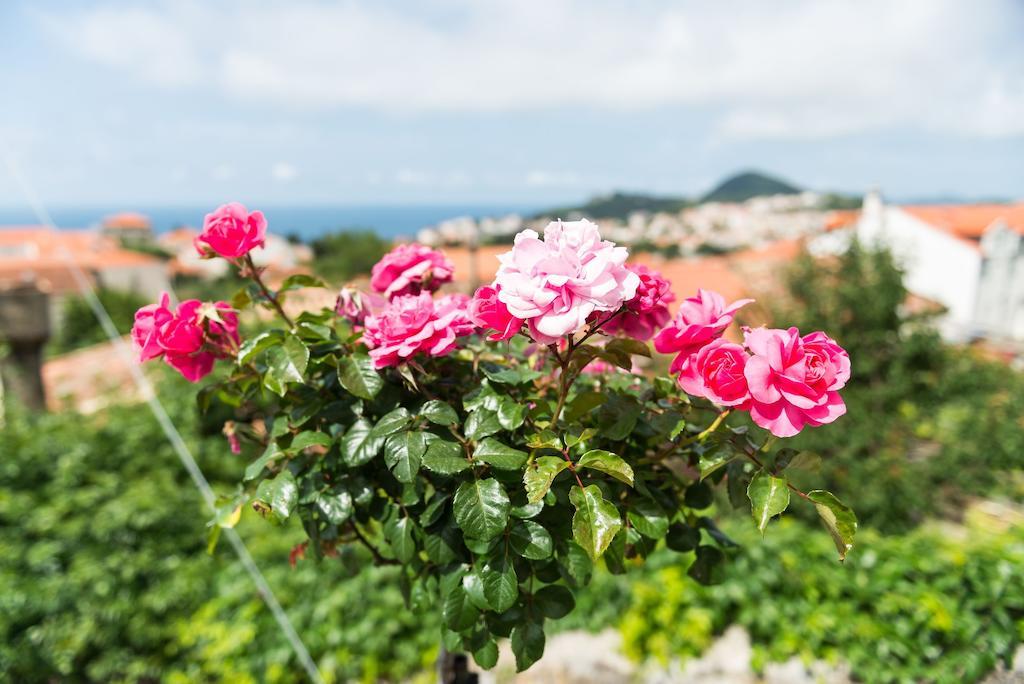 House Verde - Private House With Seaview Dubrovnik Quarto foto